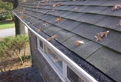 Protected gutters