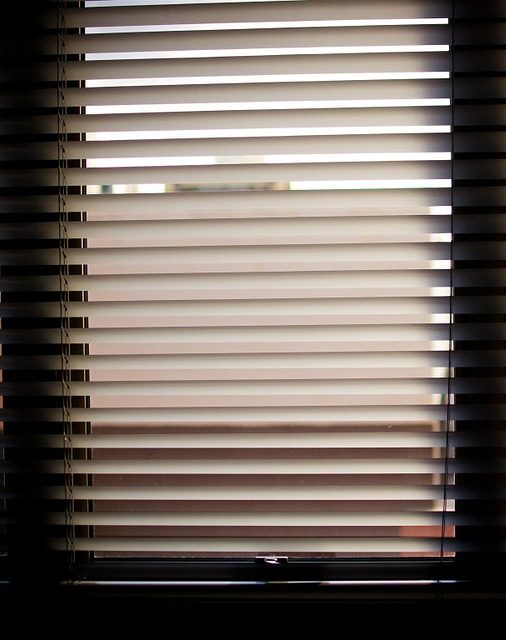 How to Block Sunlight from Windows DIY PJ Fitzpatrick