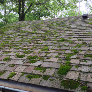 How to Remove Moss from Roof