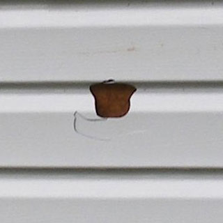 How to Fix a Hole in Vinyl Siding