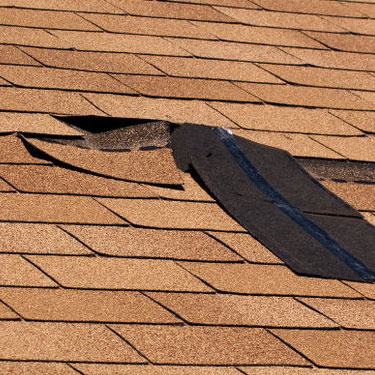 Home Repair - Roof Repair