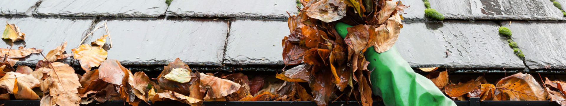 Gutter Cleaning