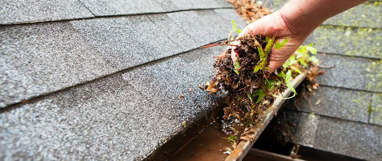 When Should I Clean My Gutters?