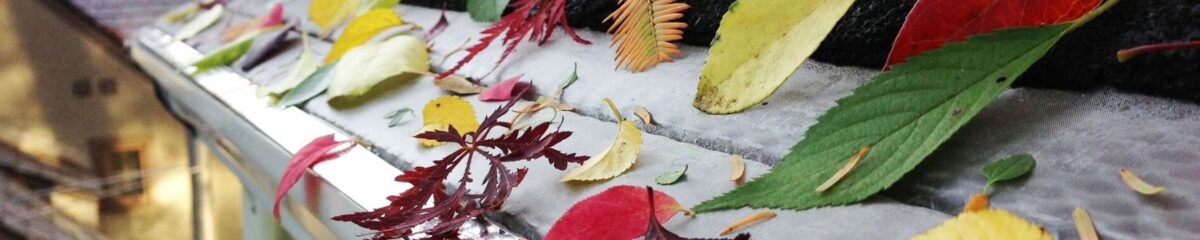 Gutter Services