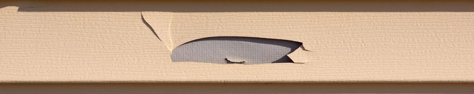 Siding Repair Services