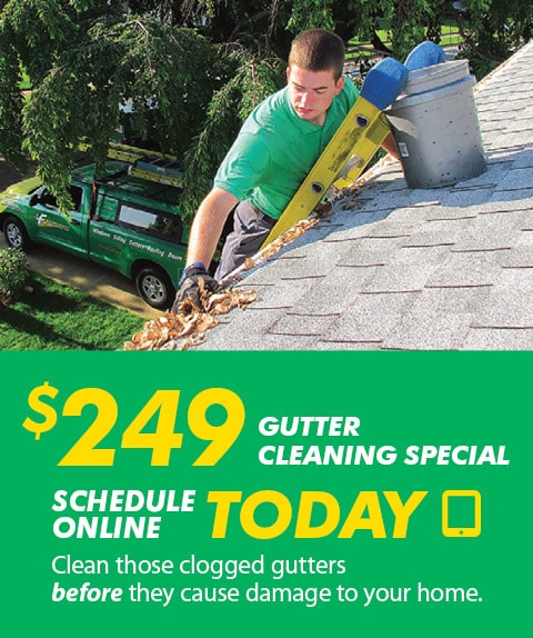 Gutter Cleaning Special