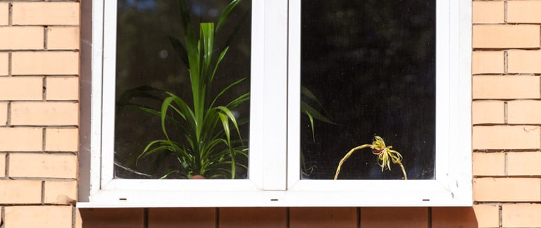 How Poor Window Installation Can Lead to Hidden Wall Damage