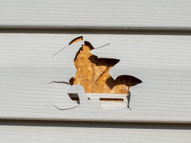 pjf-branded-lp-siding-issues-img01
